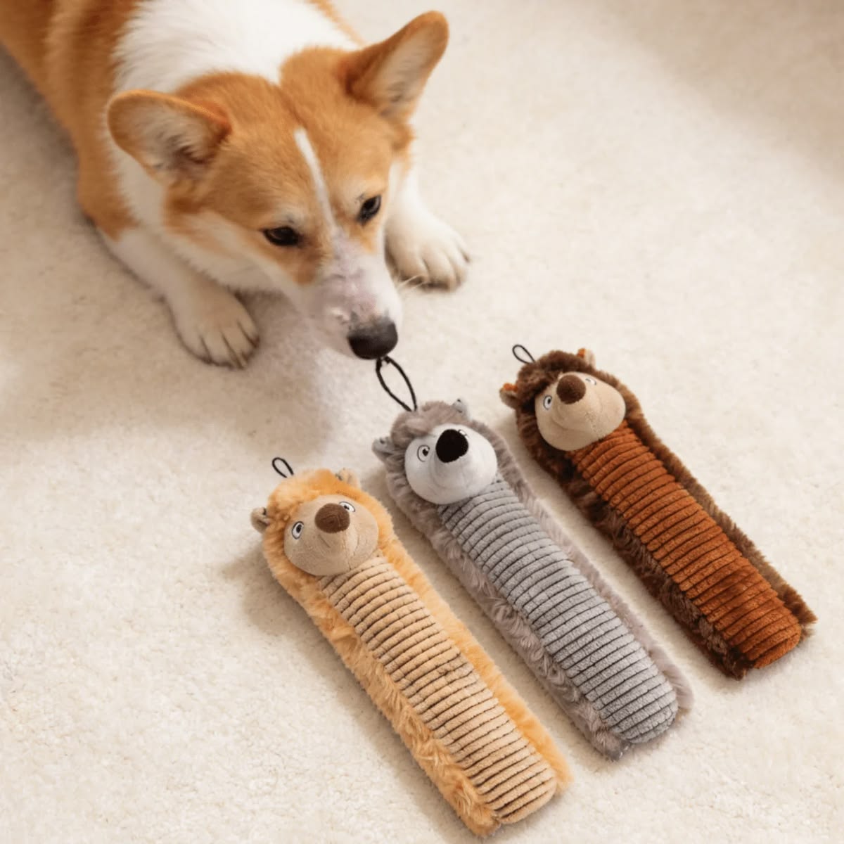 Comfortable life with pets