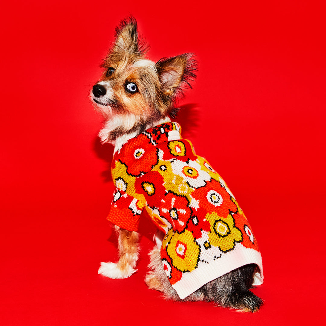 Flower Sweater for Dogs for Comfortable Dog Wear