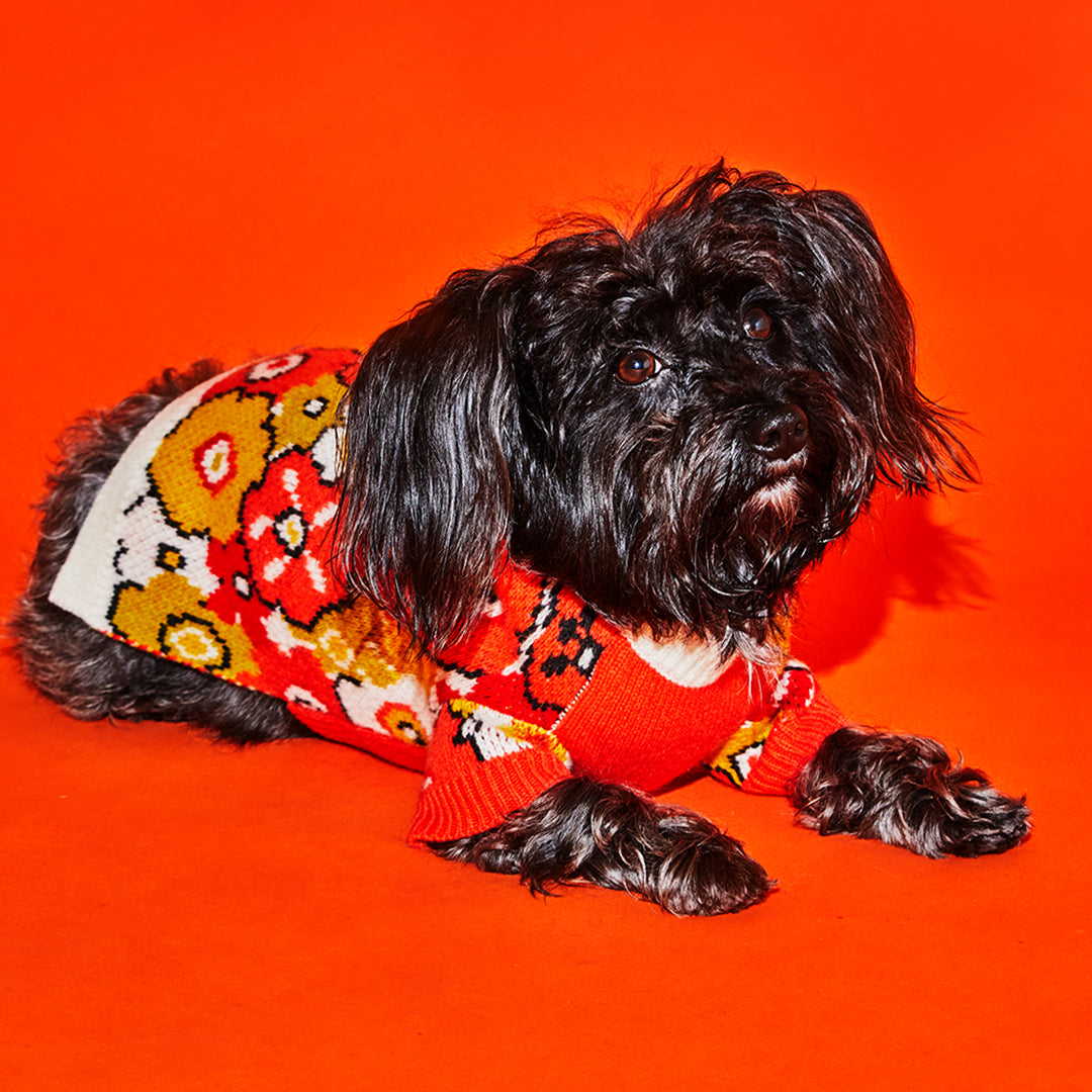 Flower Sweater for Dogs for Comfortable Dog Wear