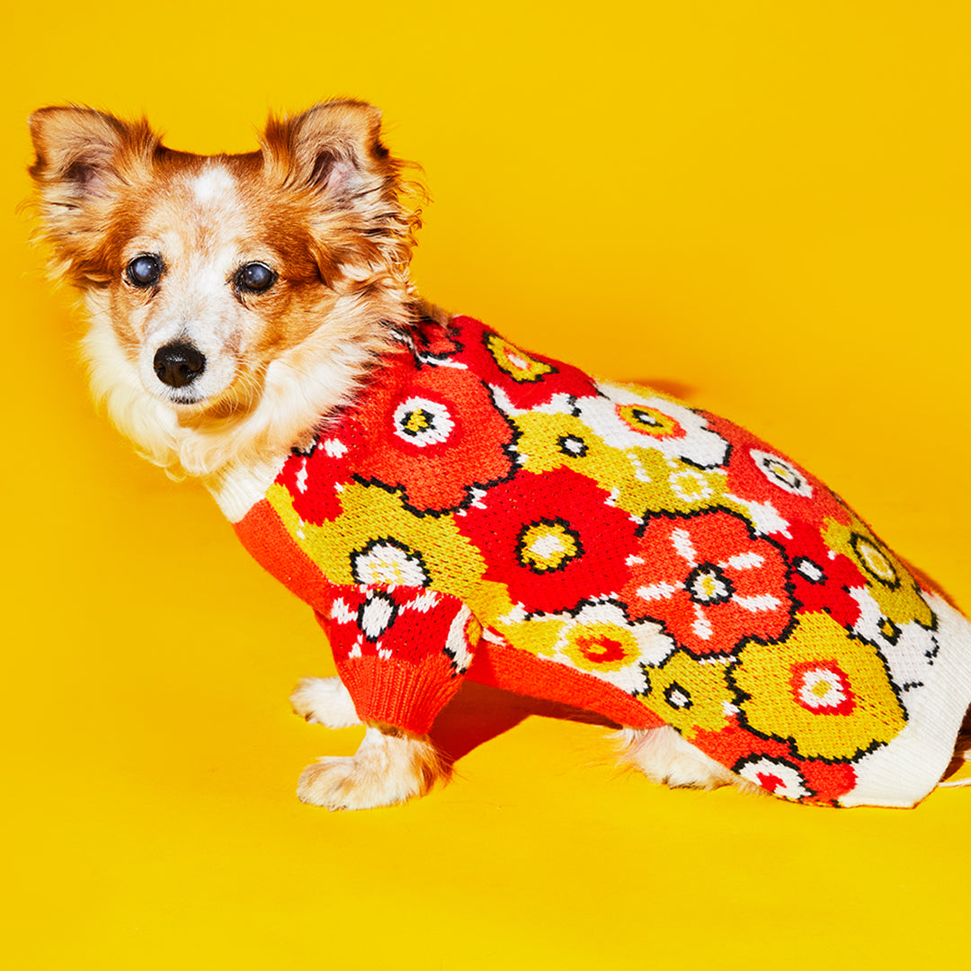 Flower Sweater for Dogs for Comfortable Dog Wear