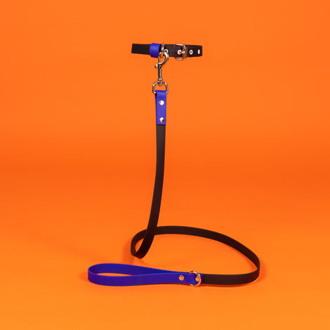 Black and Royal Blue Waterproof Leash
