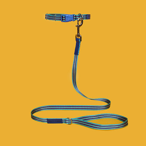 Blue and Orange Striped Webbing Leash