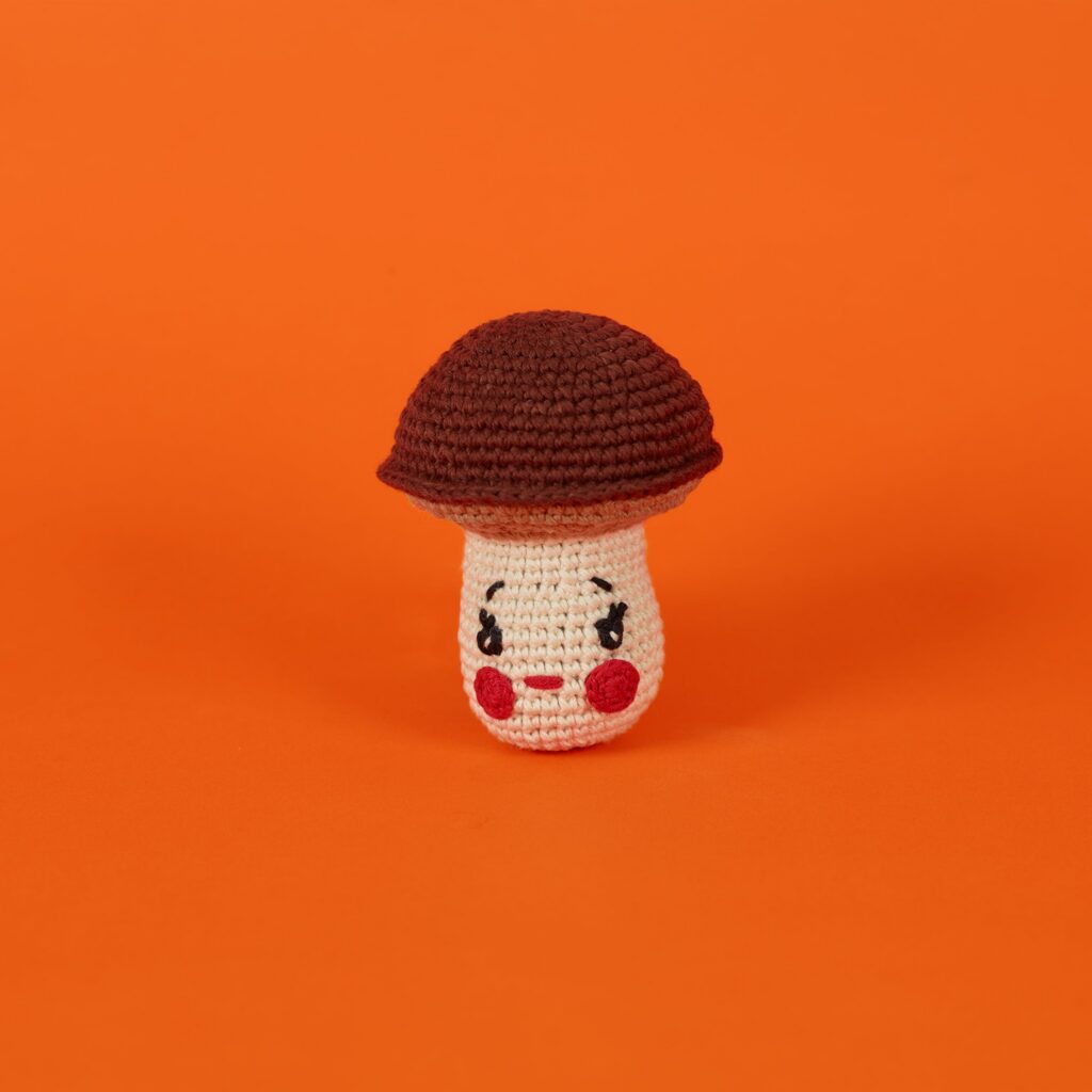 Crochet Mushroom Toy for Dogs