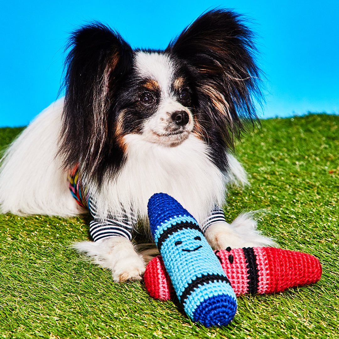 Cotton Crochet Crayon Toy for Dogs