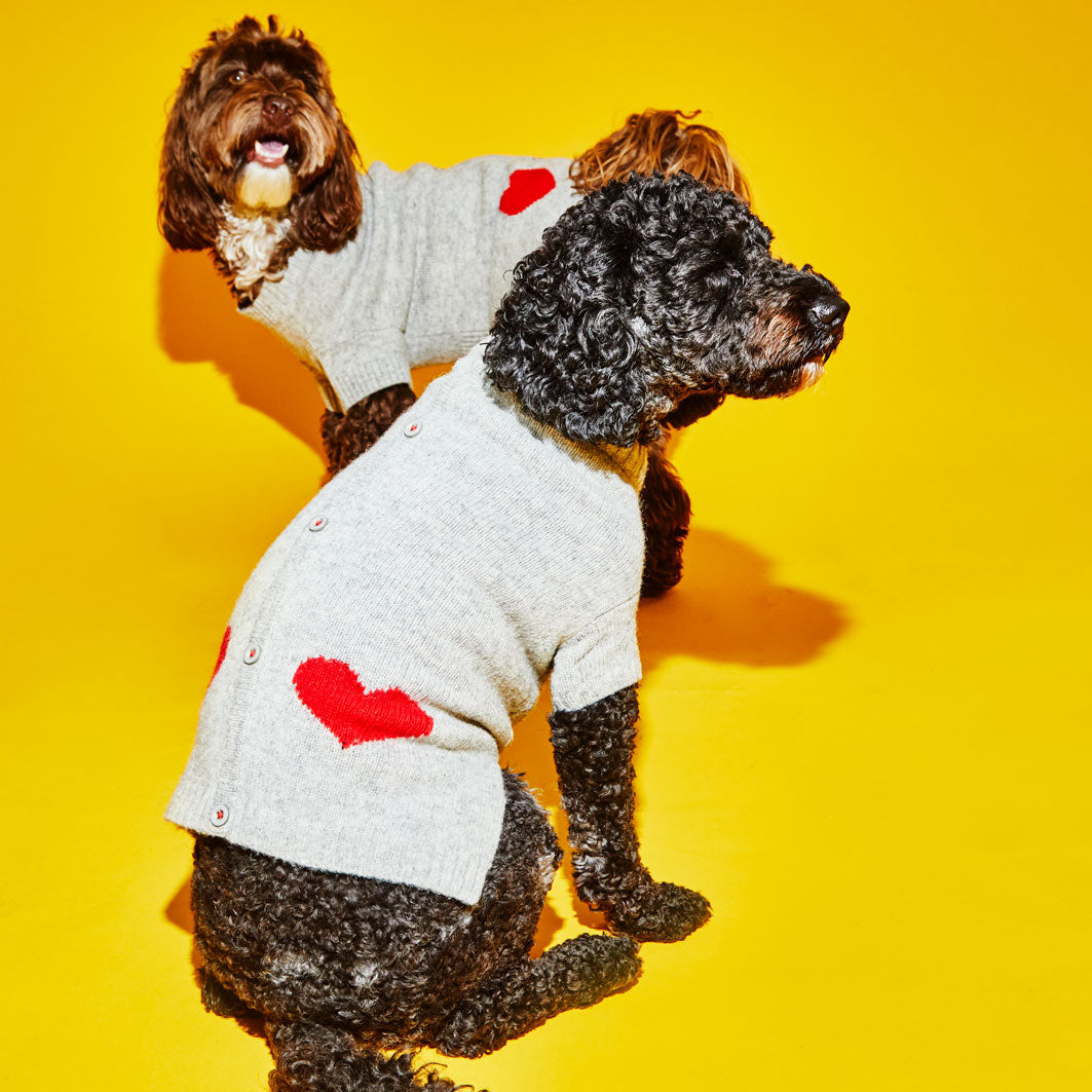 Grey and Red Heart Cardigan Sweater for Dogs