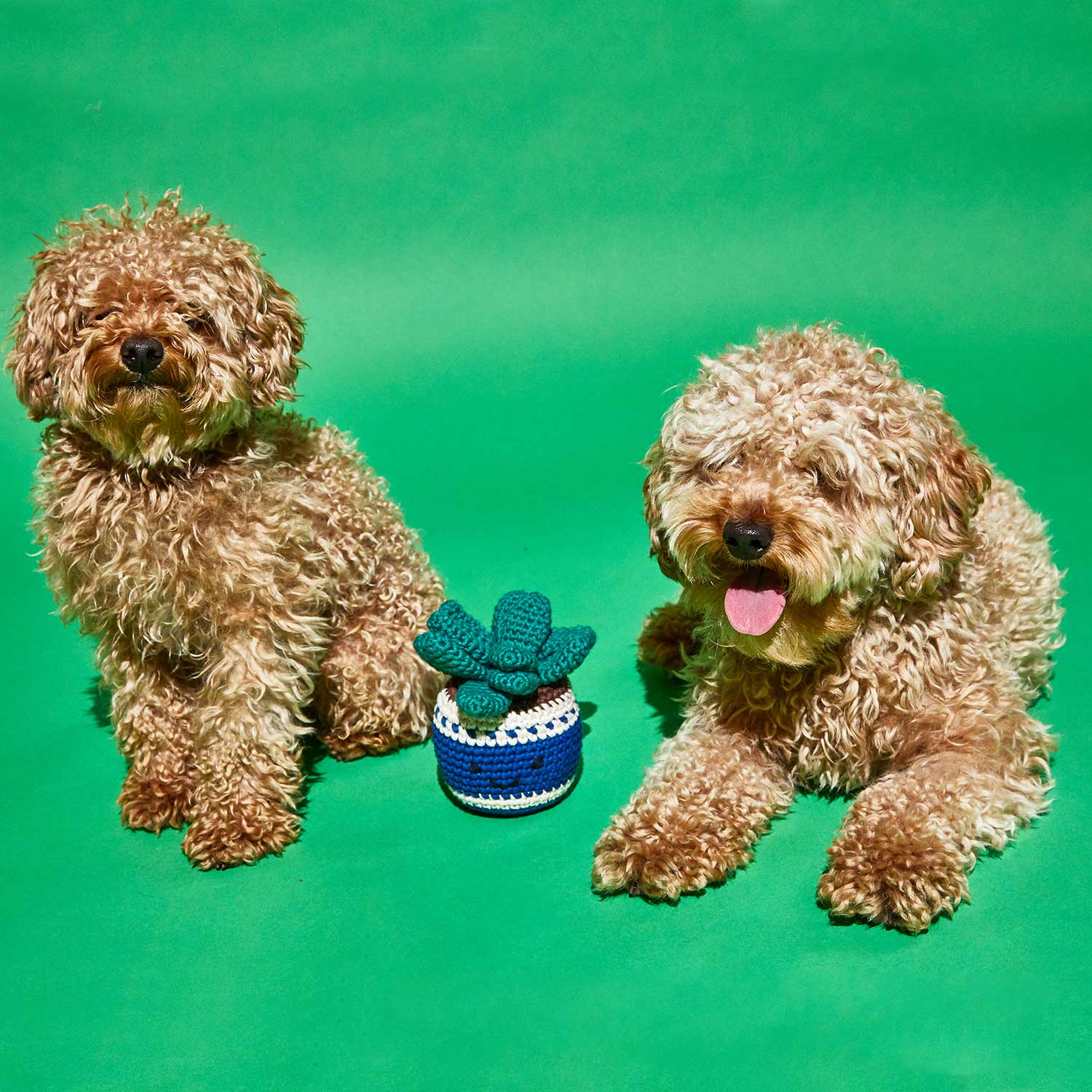 Cotton Crochet Potted Plant Toy for Dogs