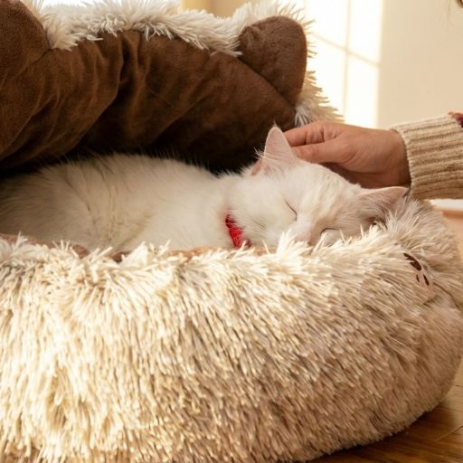 Round Nest House Cushion Pet Bed