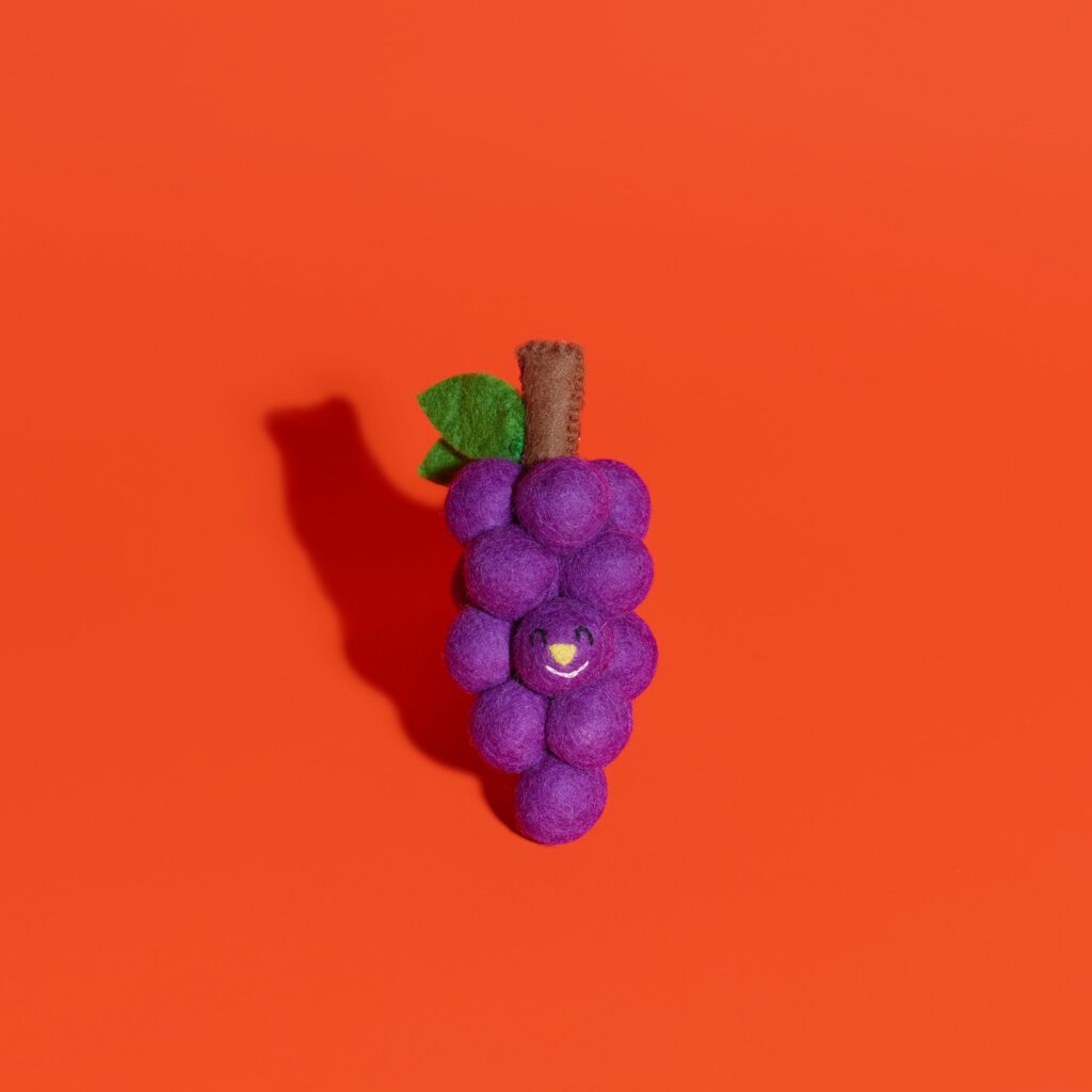 Felted Wool Grapes Toy for Dogs