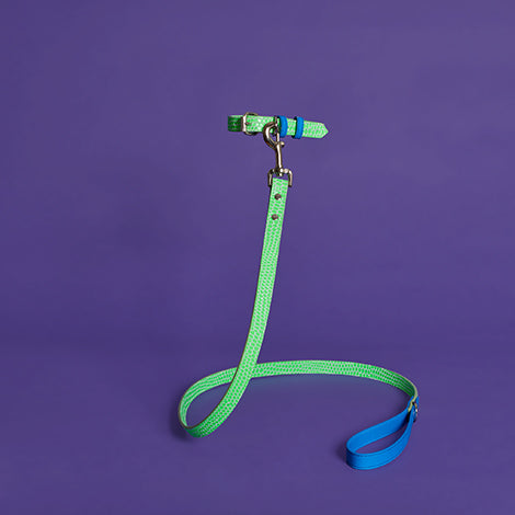 Neon Green and Blue Embossed Dot Leather Leash