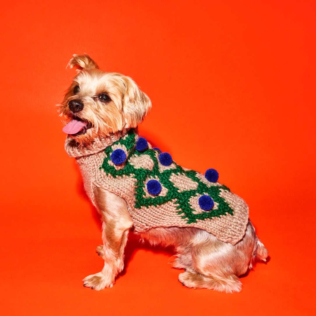 Knitted Green and Royal Pom Pom Sweater for Dogs