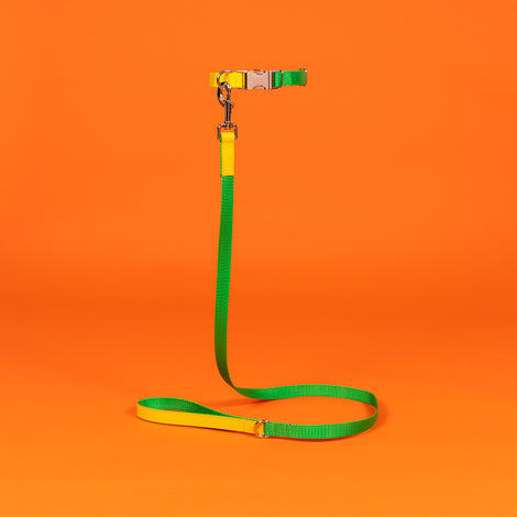 Green and Yellow Nylon Leash