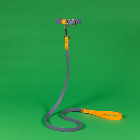 Grey and Orange Waterproof Leash