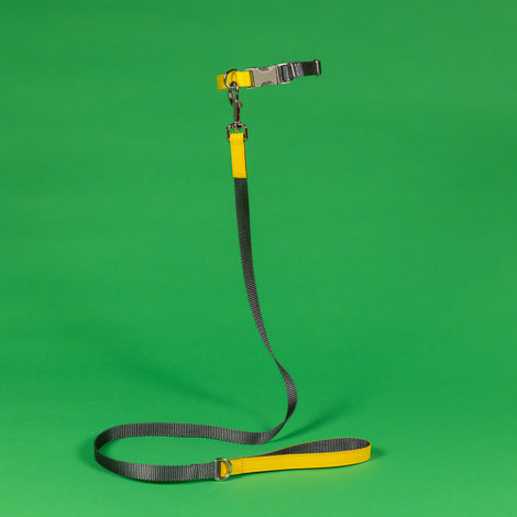 Grey and Yellow Nylon Leash