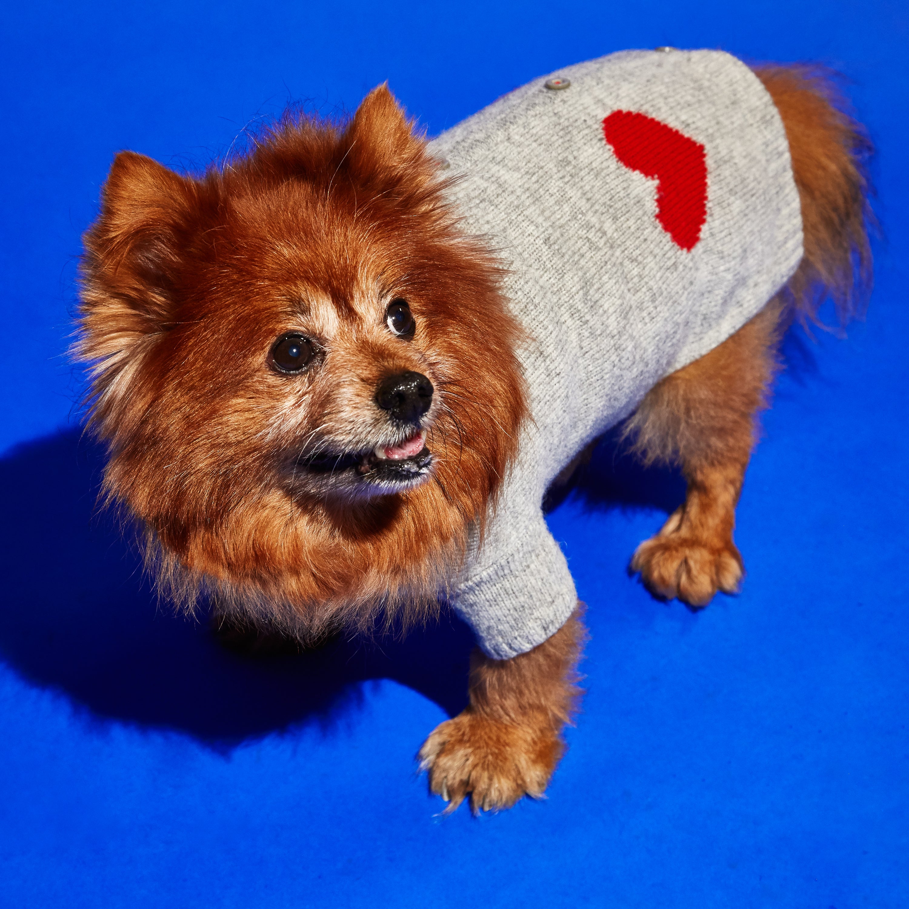 Grey and Red Heart Cardigan Sweater for Dogs