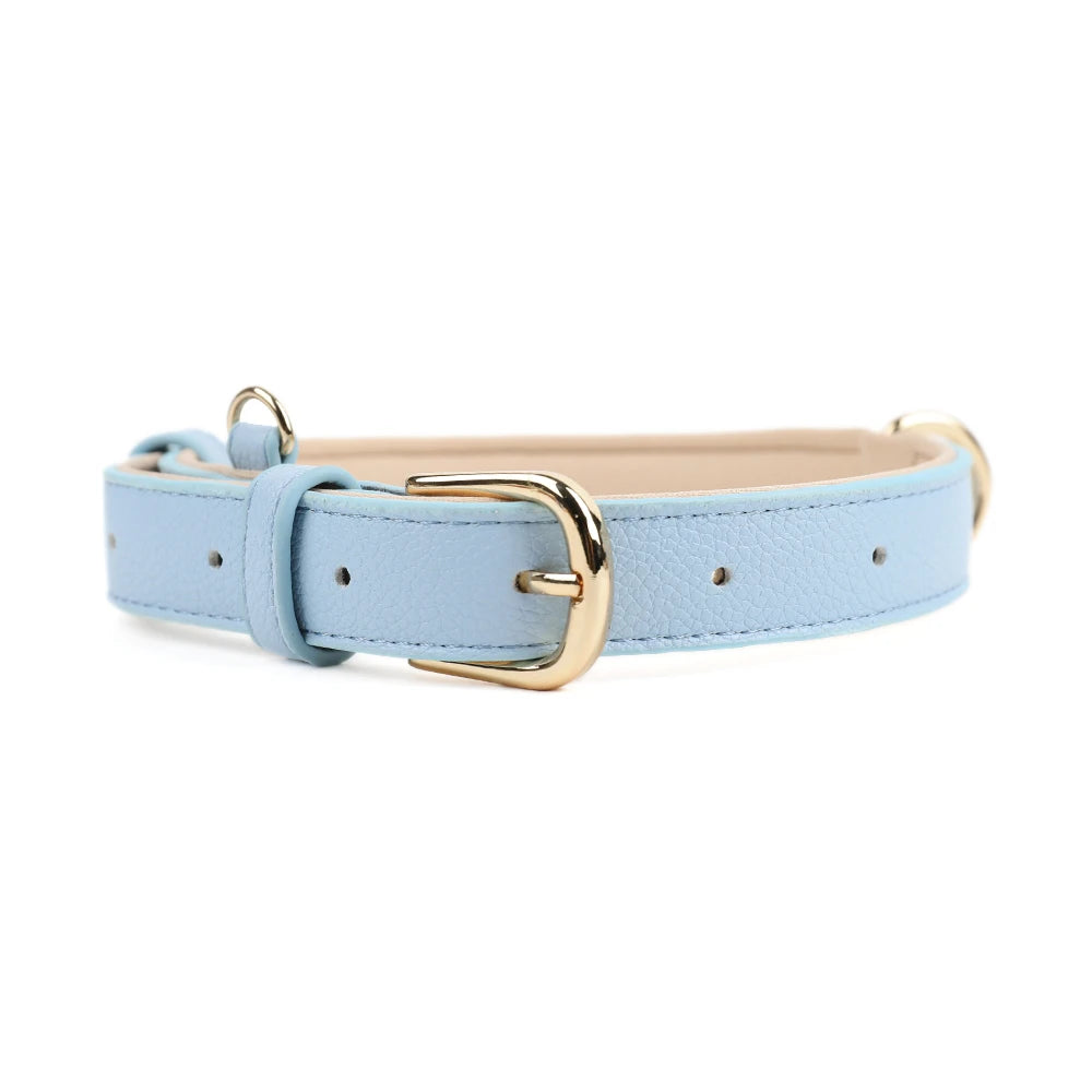 Durable Adjustable Everyday Dog Collar