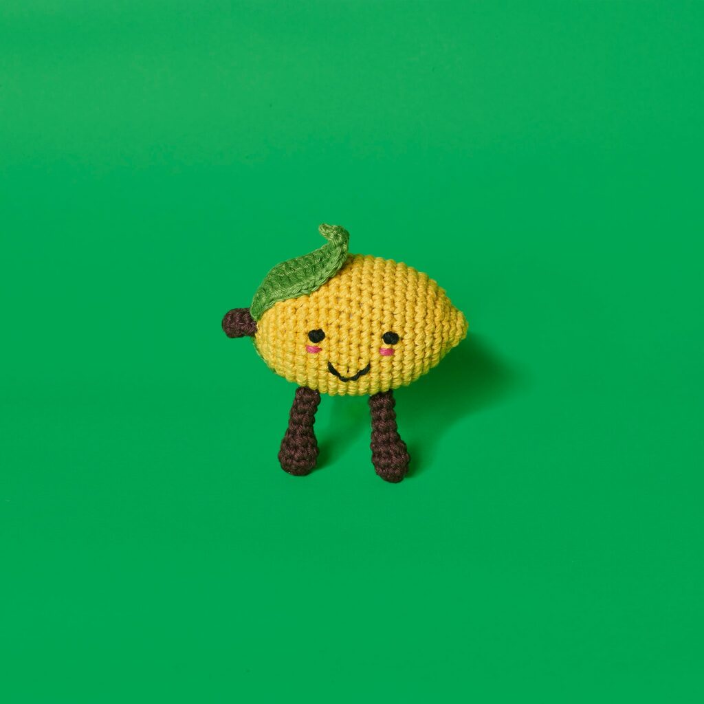 Crochet Lemon Toy for Dogs