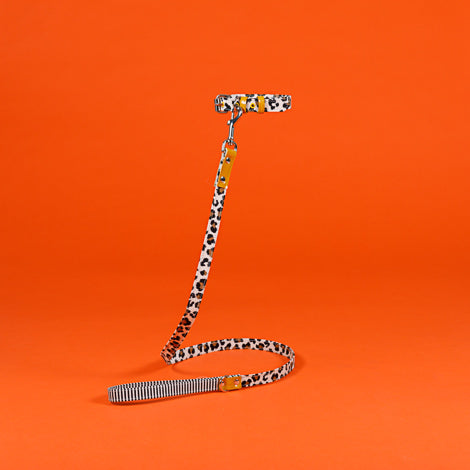 Leopard and Striped Canvas Leash