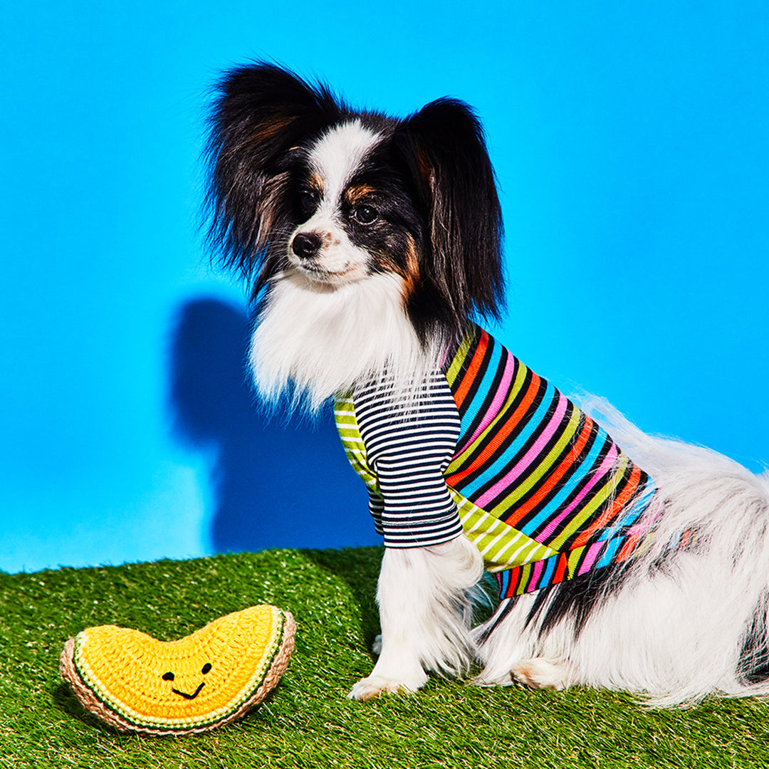 Crochet Cantaloupe Toy for Dogs