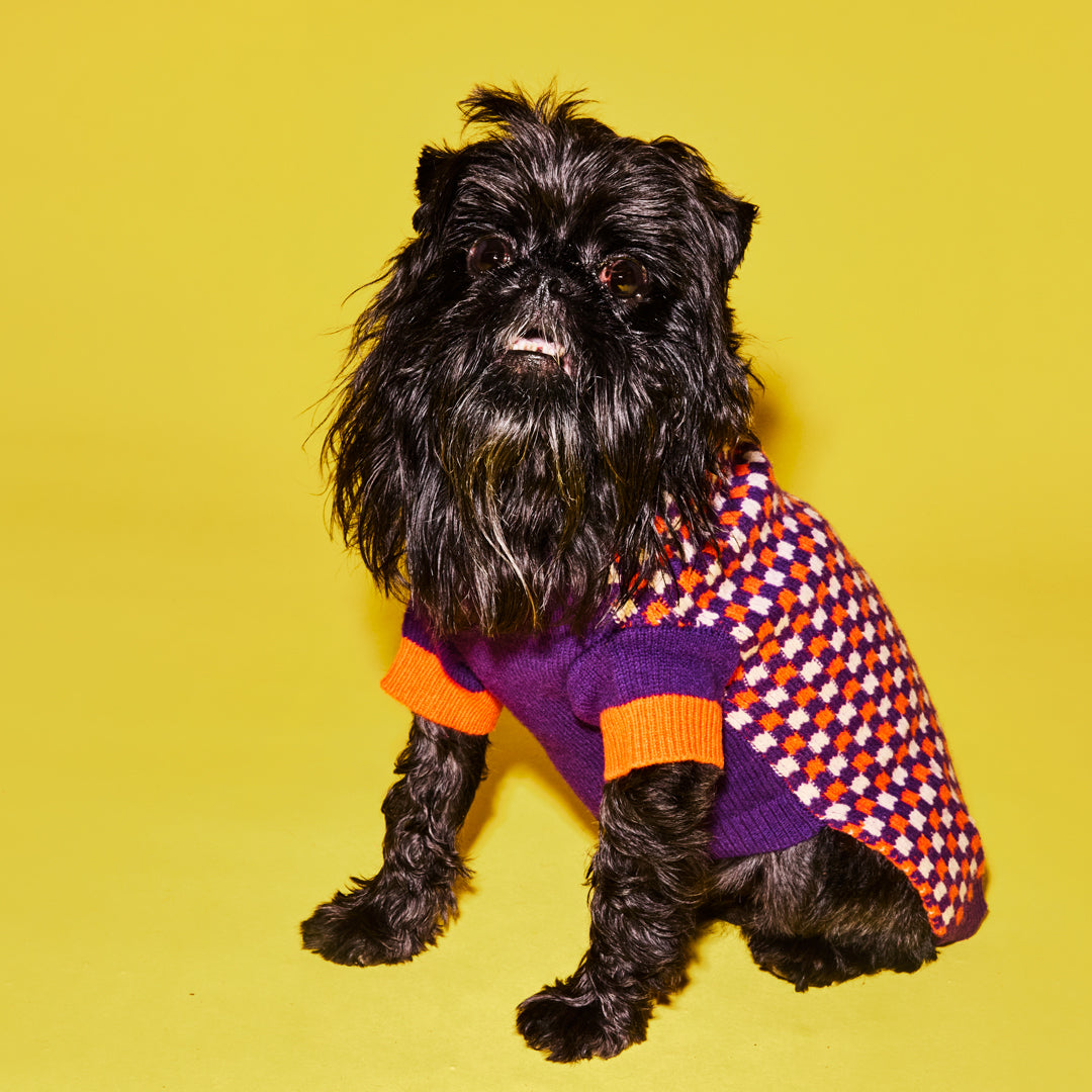 Purple and Orange Check Sweater for Dogs