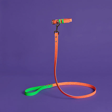 Neon Orange and Green Embossed Dot Leather Leash