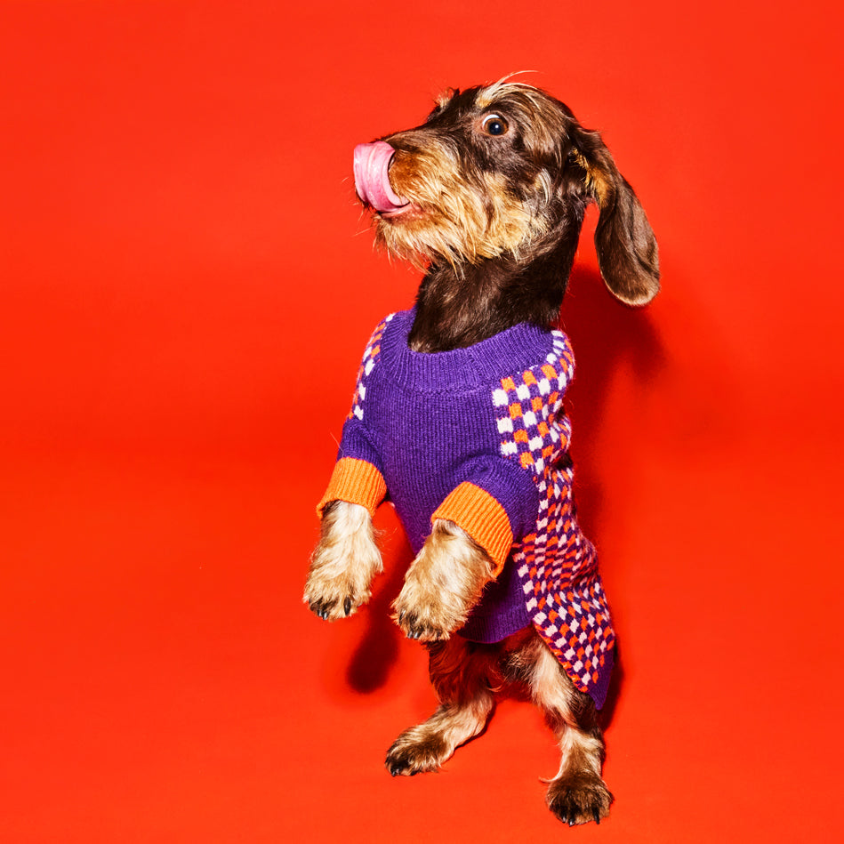 Purple and Orange Check Sweater for Dogs