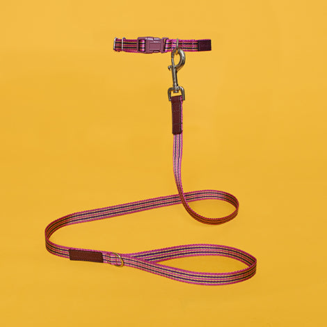 Pink and Burgundy Striped Webbing Leash
