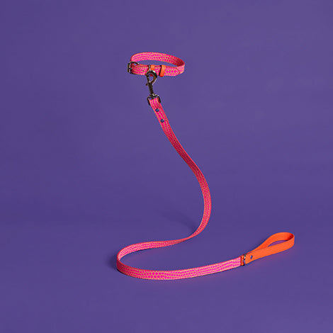 Neon Pink and Orange Embossed Dot Leather Leash