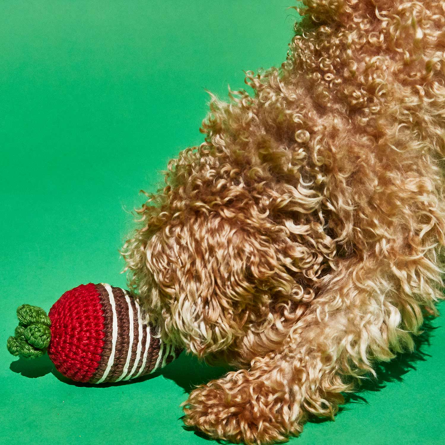 Crochet Chocolate Covered Strawberry Toy for Dogs