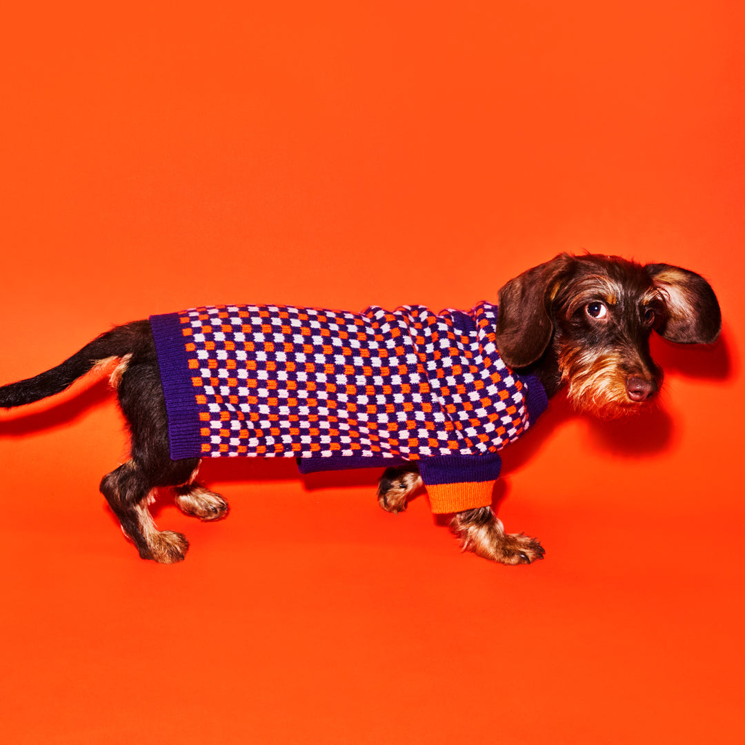 Purple and Orange Check Sweater for Dogs