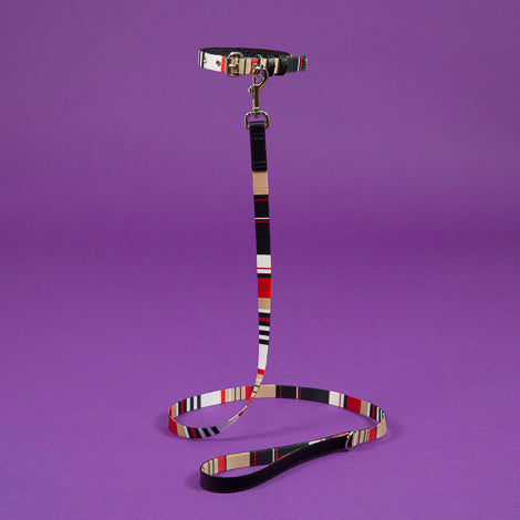 Red Multi and Black Striped Webbing Leash