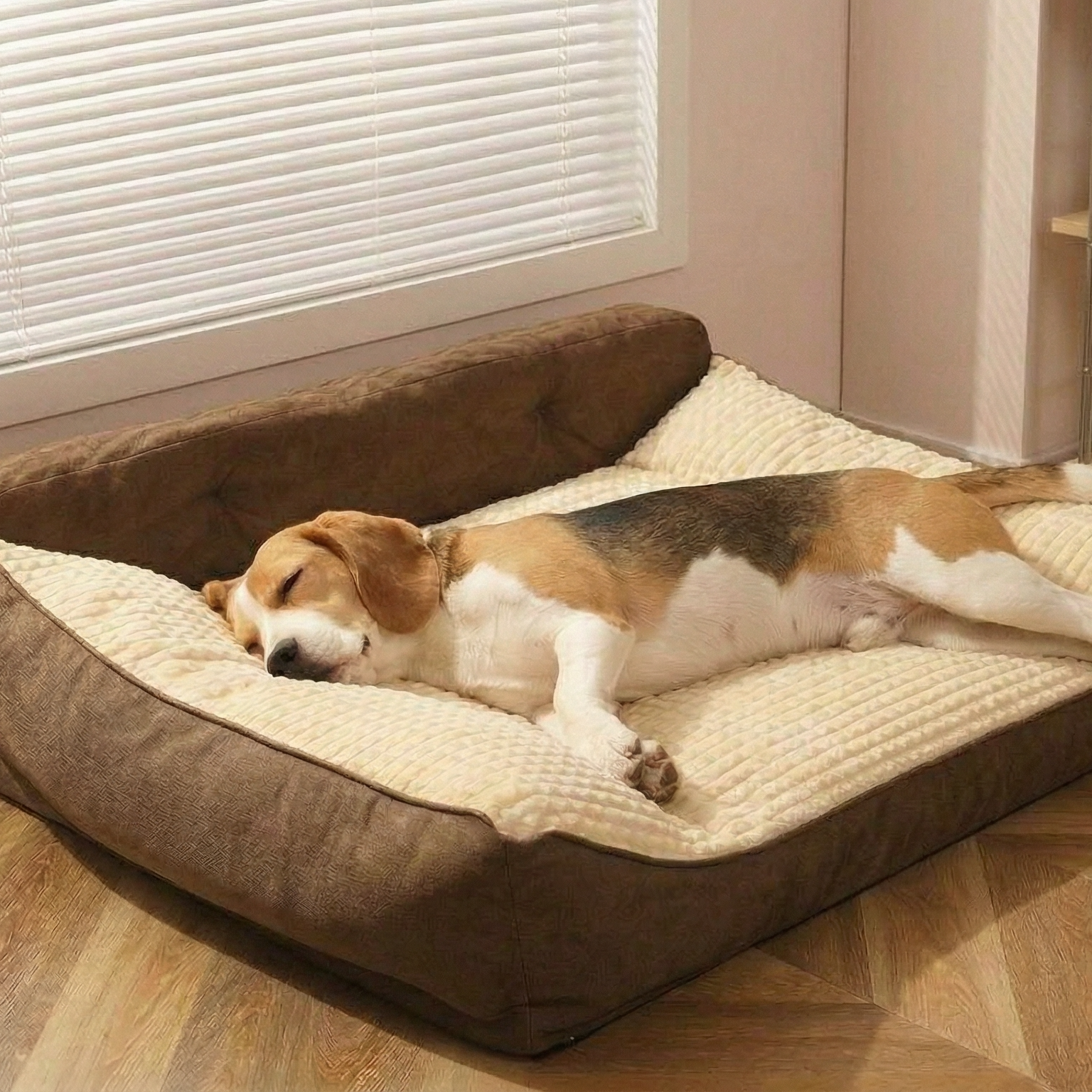 Cosy Spot Sofa Pet Bed