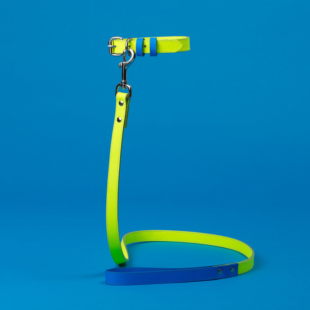 Yellow and Blue Leather Leash