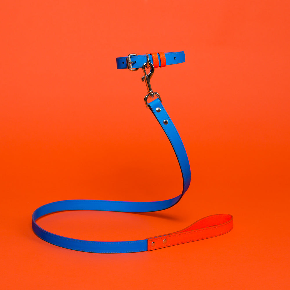 Blue and Orange Leather Leash