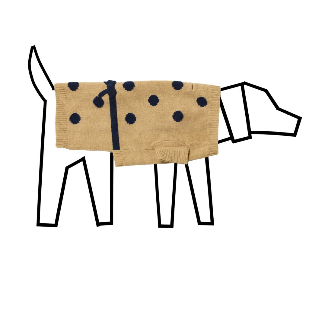 Camel and Navy Dot Bow Sweater for Dogs