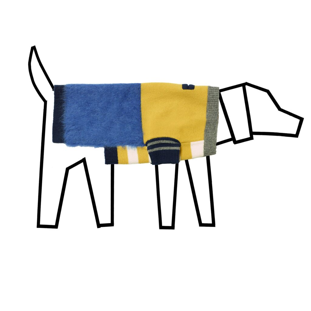 Blue and Gold Textured Stripe Sweater for Dogs