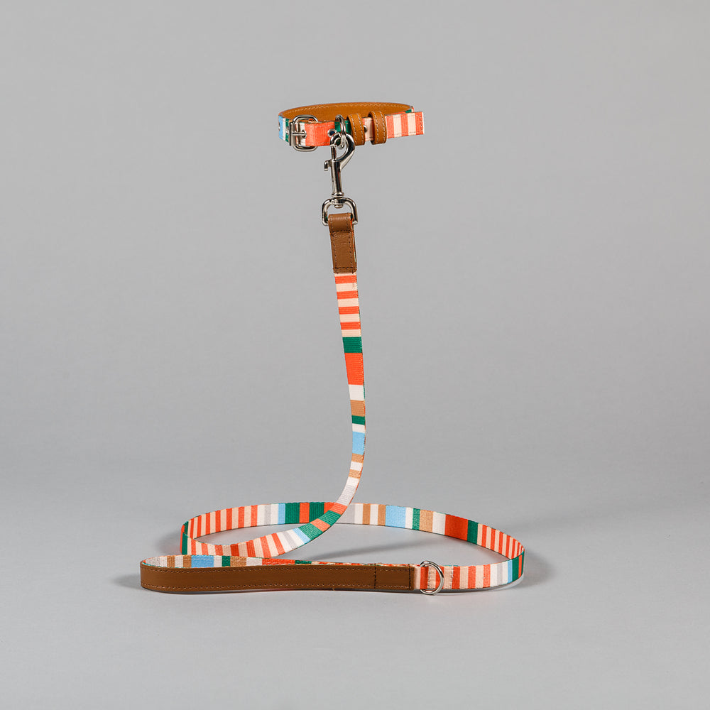 Orange and Tan Striped Webbing Leash
