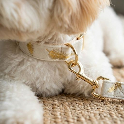 Gold Feather White Velvet Detachable Dog Collar