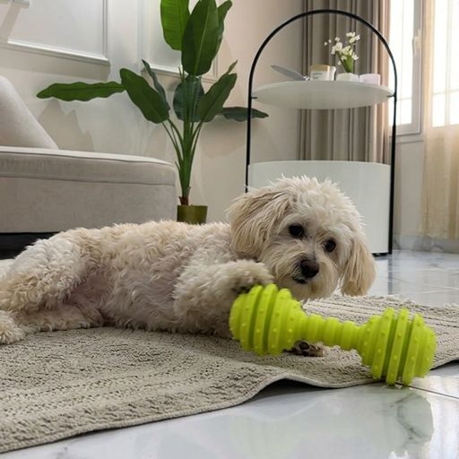 Trio Natural Teething Rubber Chew Dog Toy