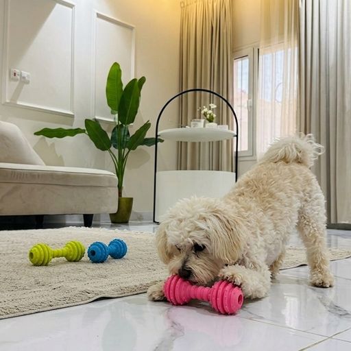 Trio Natural Teething Rubber Chew Dog Toy