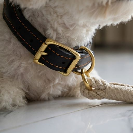 Genuine Leather and Hemp Rope Dog Collar