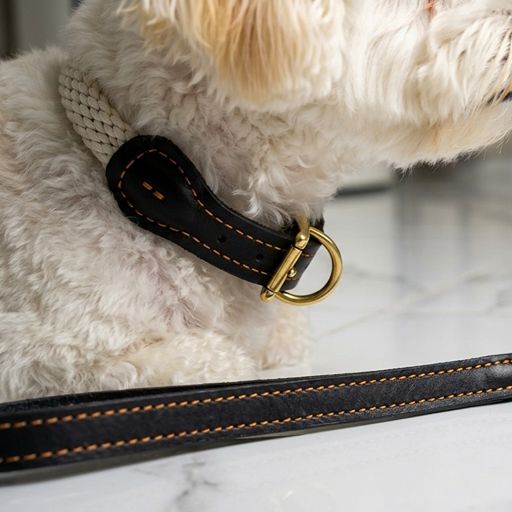 Genuine Leather and Hemp Rope Dog Collar