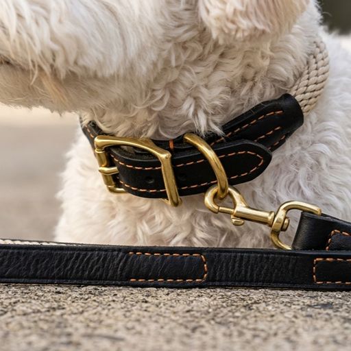 Genuine Leather and Hemp Rope Dog Collar