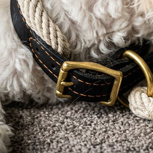 Genuine Leather and Hemp Rope Dog Collar