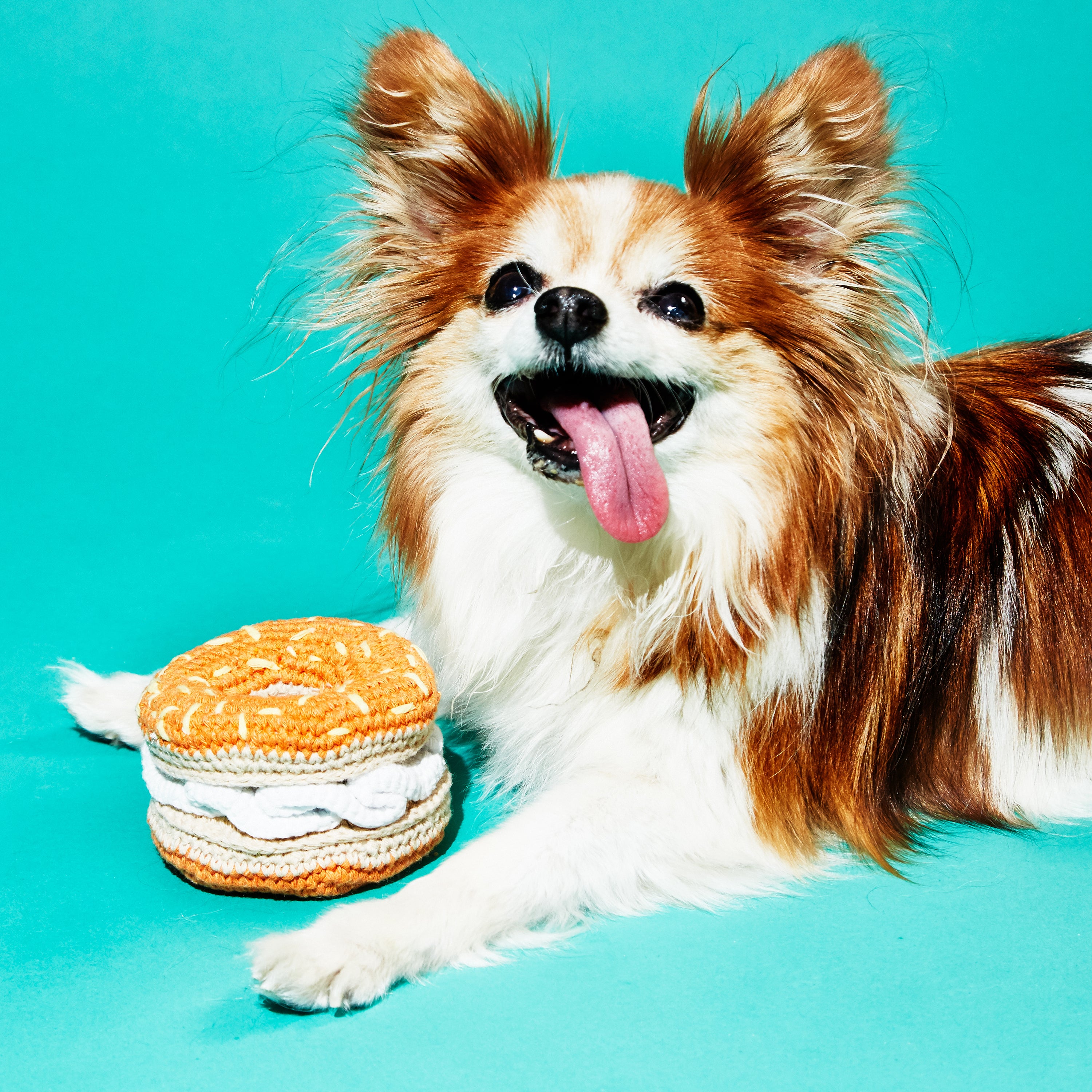 Crochet Bagel and Cream Cheese Toy for Dogs