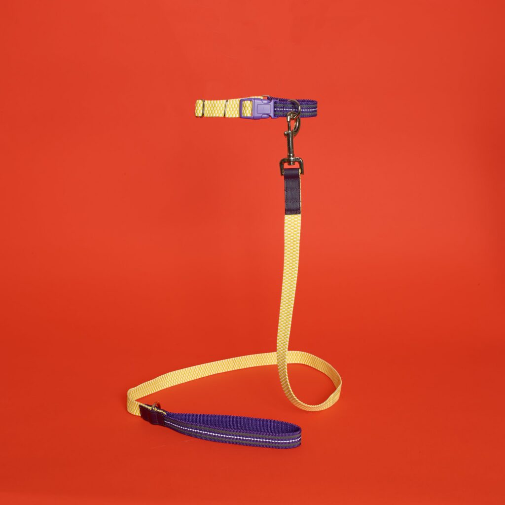 Yellow Checked and Striped Webbing Leash