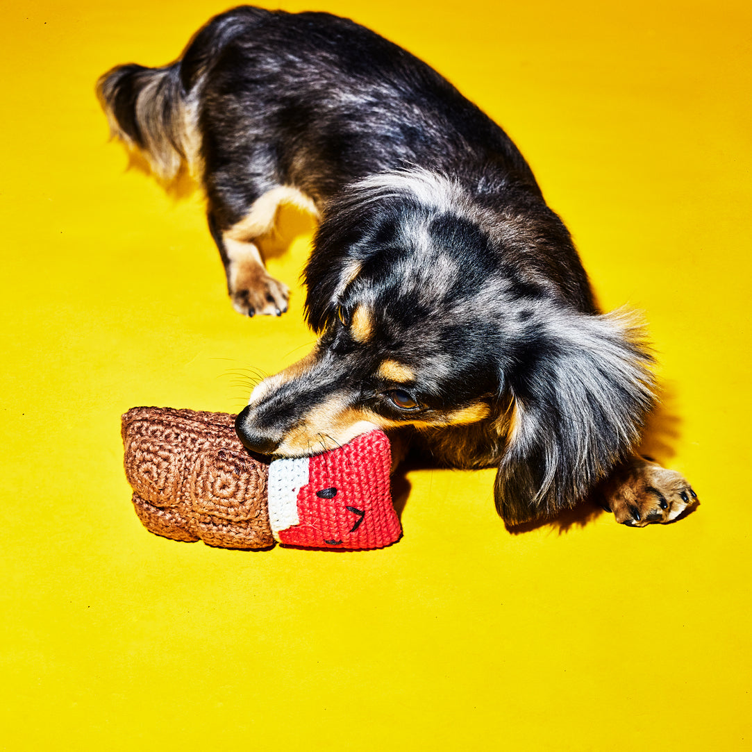 Crochet Chocolate Bar Toy for Dogs