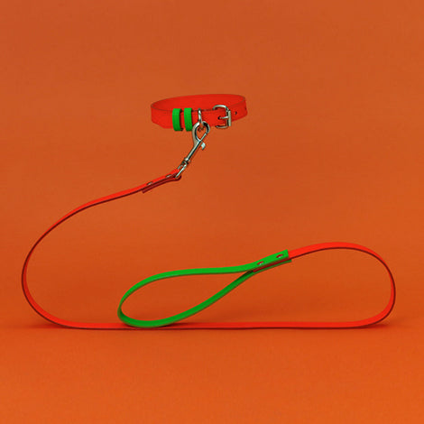 Orange and Green Leather Leash