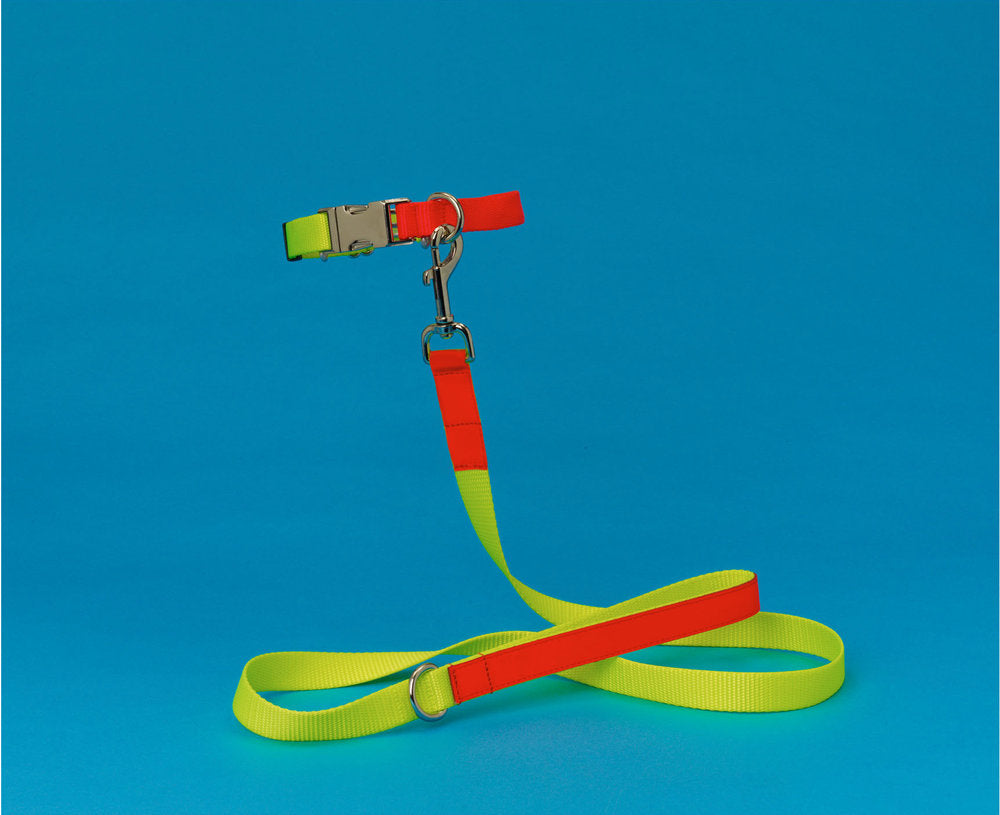 Yellow and Orange Nylon Leash