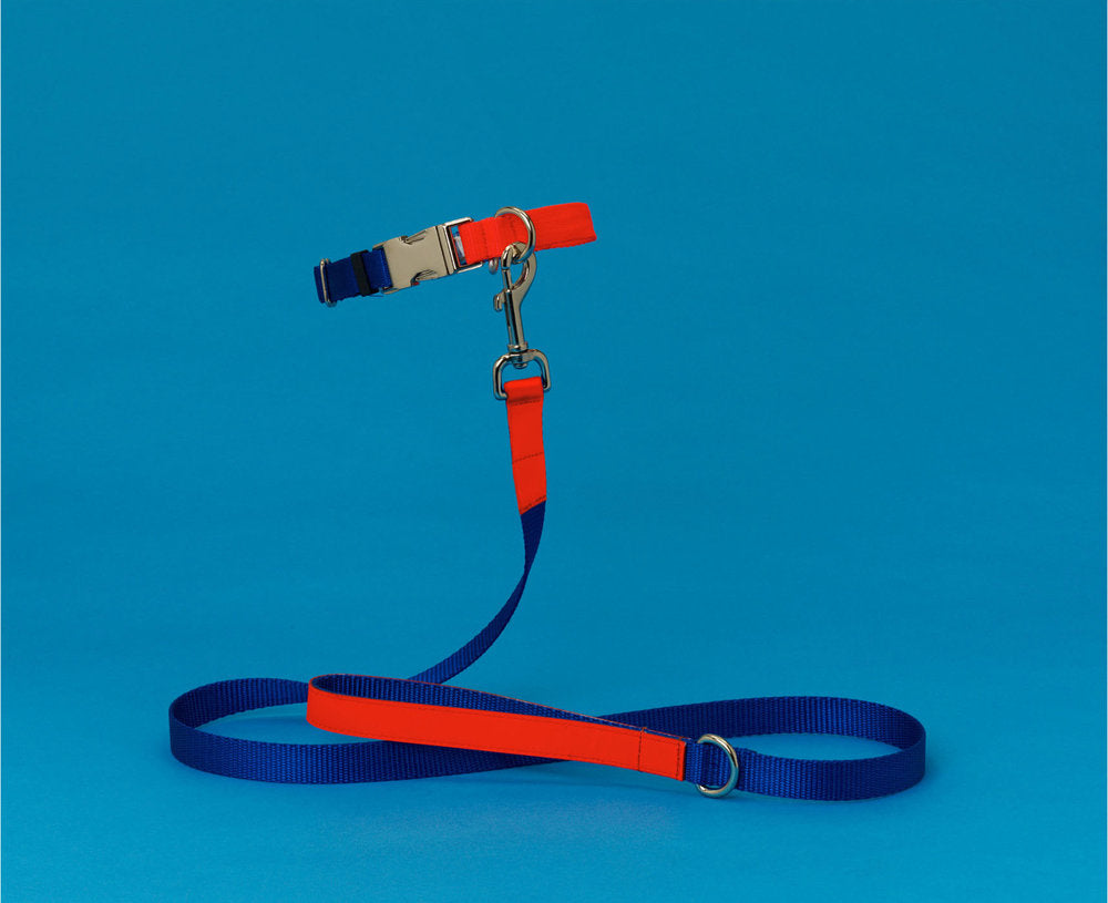 Blue and Orange Nylon Leash