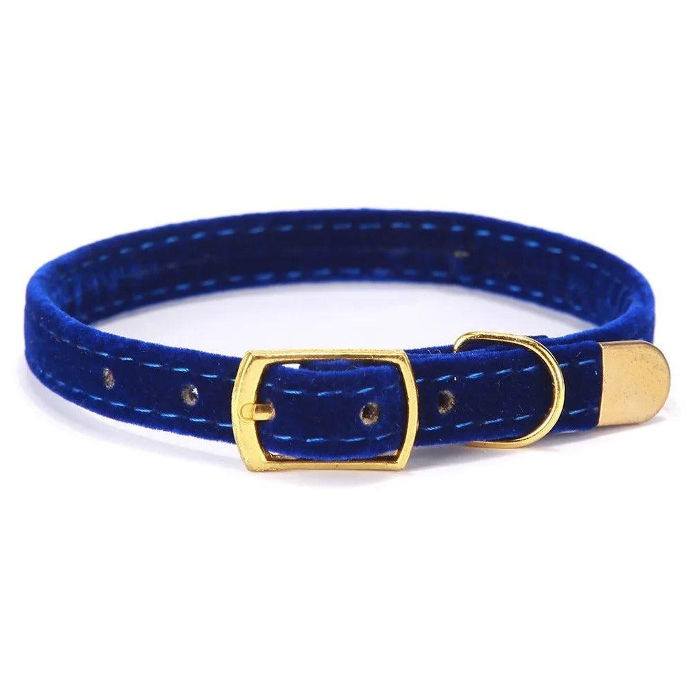 Cloud Collar with Gold Bell Detail